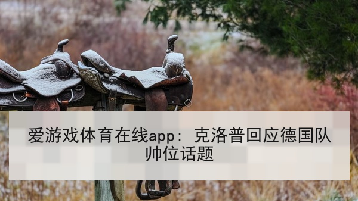 爱游戏体育在线app: 克洛普回应德国队帅位话题